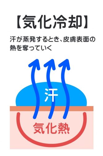 足の裏に汗をかいているイメージ
