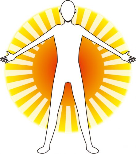 人体を巡る血管網のイメージ図