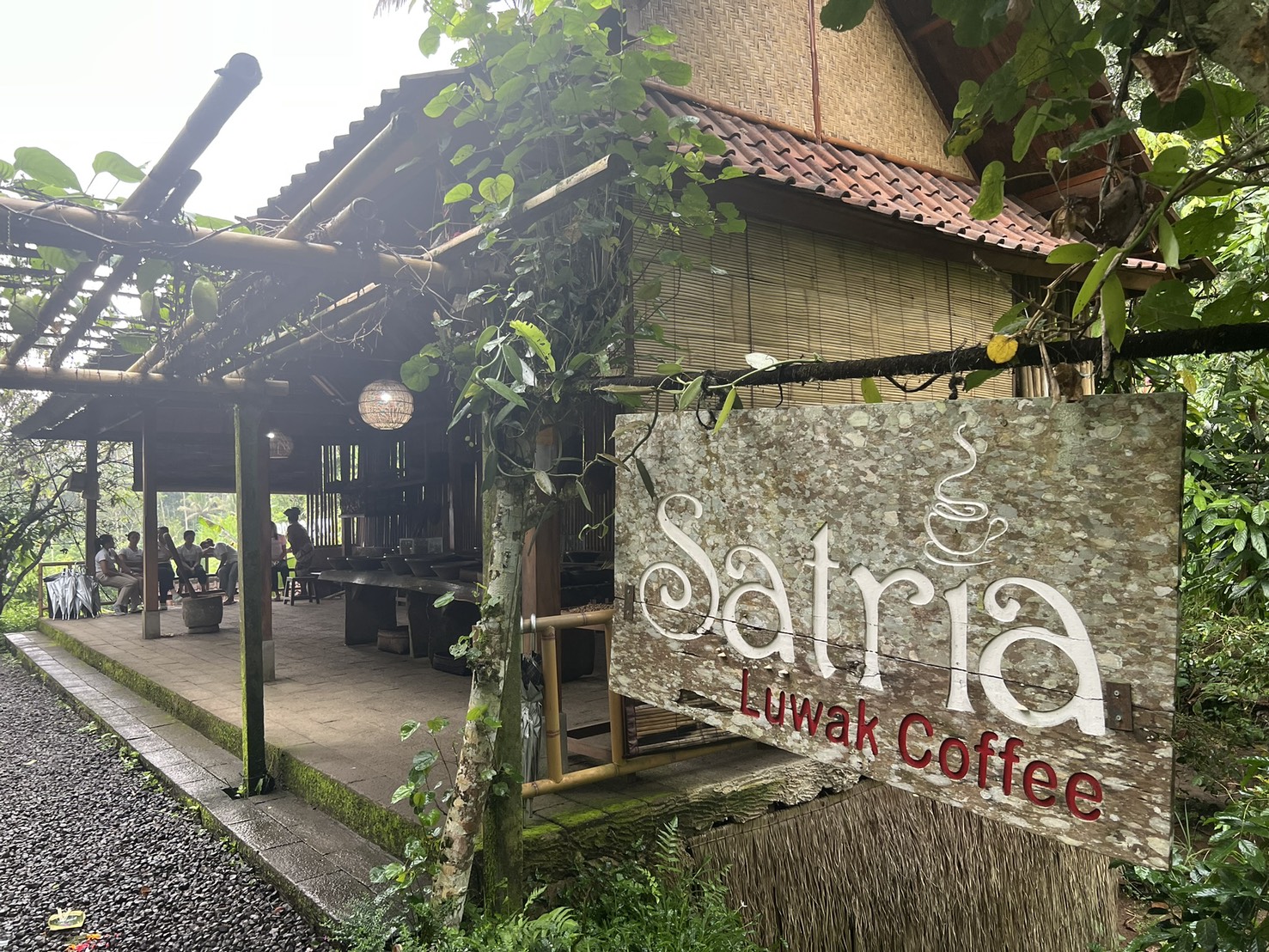 バリ島】♯1 ジャコウネココーヒーで“香りの寄り道” -匠本舗情報局