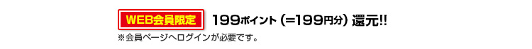 199ポイント