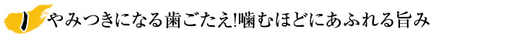 やみつきになる歯ごたえ！噛むほどにあふれる旨み