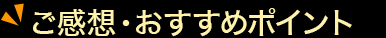 ご感想・おすすめポイント
