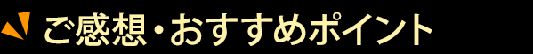 ご感想・おすすめポイント