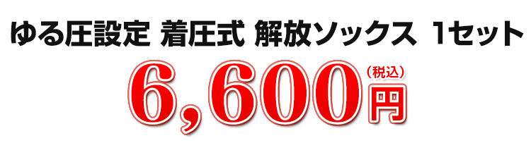9900円（税込）