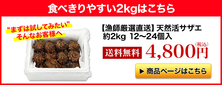 2kgはこちら
