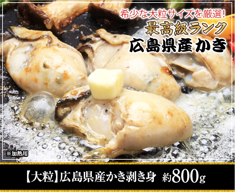 希少な大粒サイズを厳選！最高ランク　広島県産かき剥き身 約800g