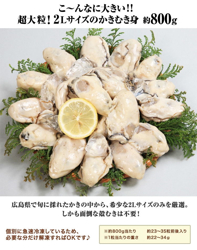 こ~んなに大きい!超特大!2Lサイズのかきむき身 約800g 広島県で旬に採れたかきの中から、希少な3Lサイズのみを厳選。しかも面倒な殻むきは不要! 約800g当たり約25~35粒入り