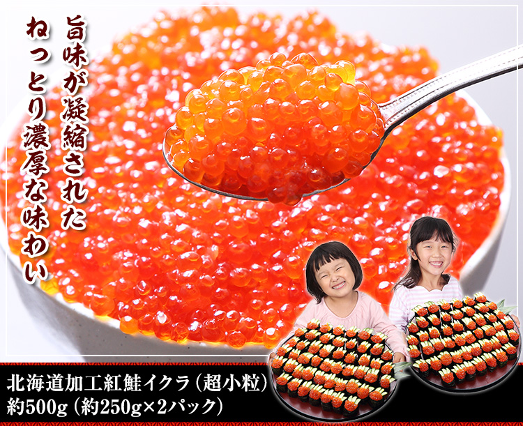 北海道加工 紅鮭イクラ(超小粒) 約500g(約250g×2パック)