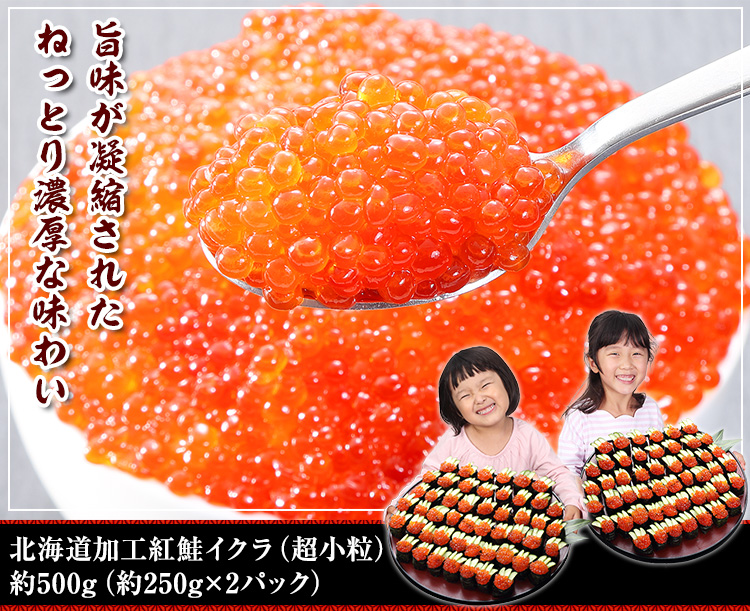 北海道加工 紅鮭イクラ(超小粒) 約500g(約250g×2パック)