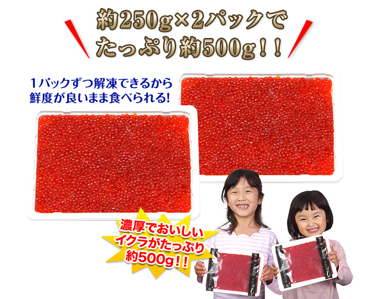 約250g×2パックでたっぷり約500g!!