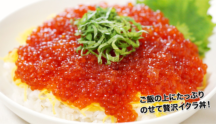 596：北海道加工 紅鮭イクラ（超小粒） 約400g（約200g×2パック）