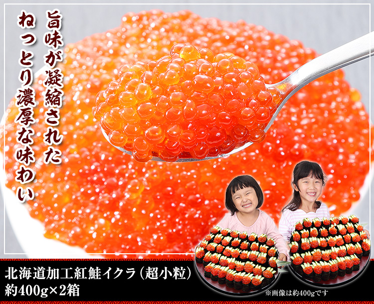 北海道加工 紅鮭イクラ（超小粒） 約400g×2箱