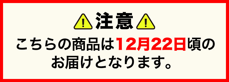 こちらの商品は12月22日頃のお届けとなります