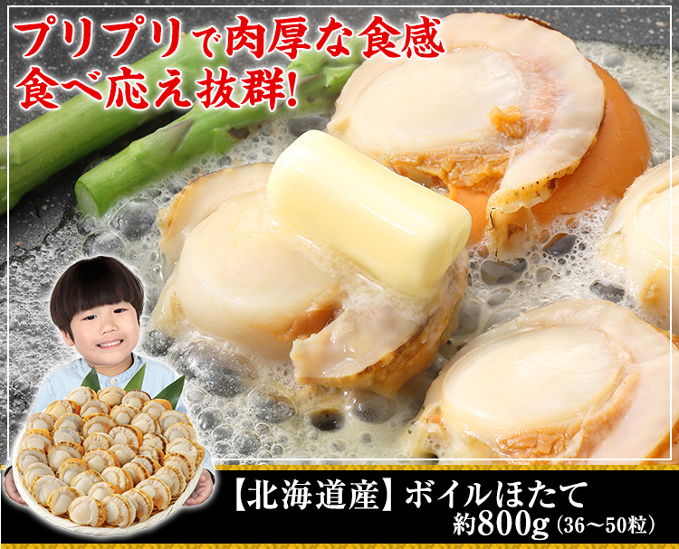 【北海道産】ボイルほたて　約800ｇ（36～50粒）