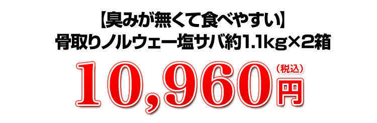 10,960円（税込）
