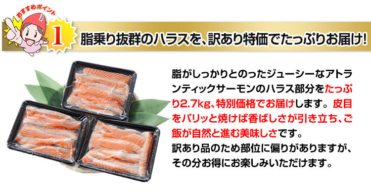 脂乗り抜群のハラスを、訳あり特価でたっぷりお届け！