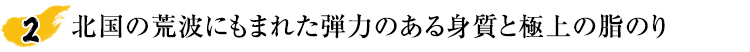 北国の荒波にもまれた弾力のある身質と極上の脂のり