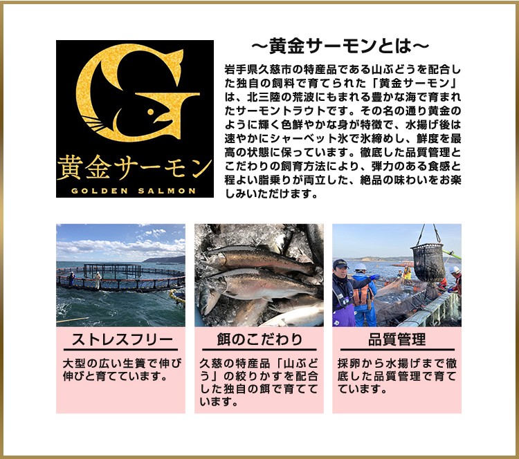 黄金サーモンとは