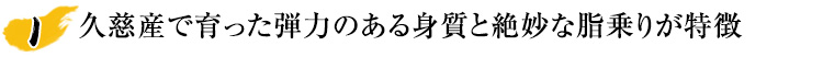 久慈産で育った弾力のある身質と絶妙な脂乗りが特徴