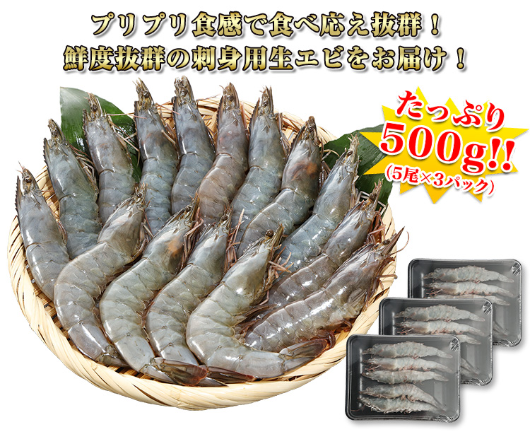 プリプリ食感で食べ応え抜群！鮮度抜群の刺身用生エビを500ｇお届け！