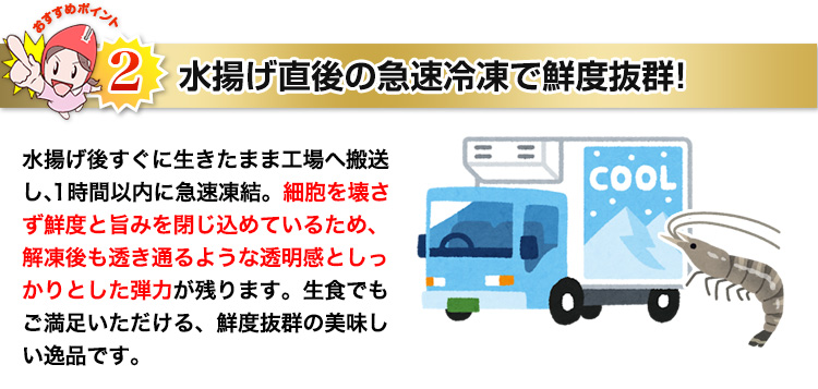 水揚げ直後の急速冷凍で鮮度抜群！
