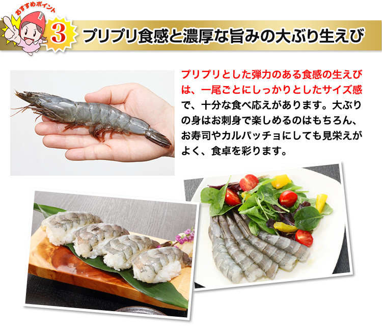 プリプリ食感と濃厚な旨みの大ぶり生えび