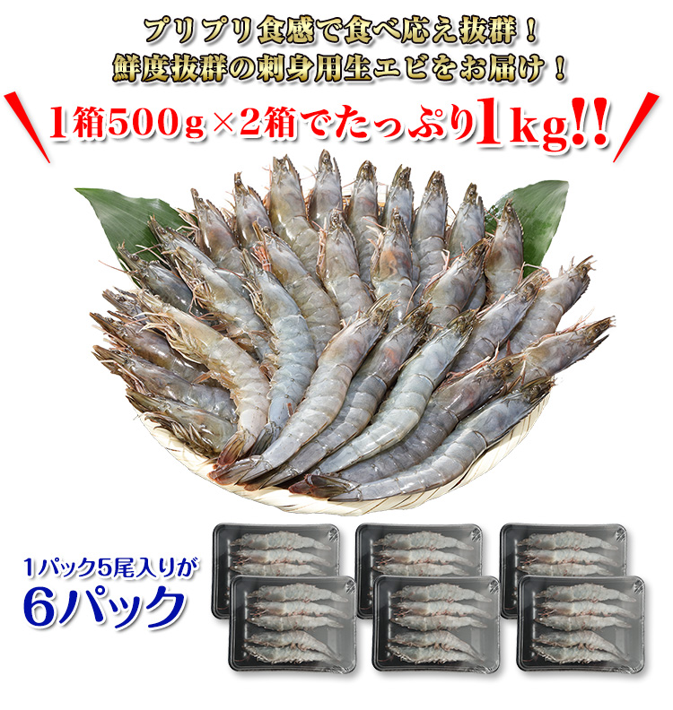 プリプリ食感で食べ応え抜群！鮮度抜群の刺身用生エビを1kgお届け！