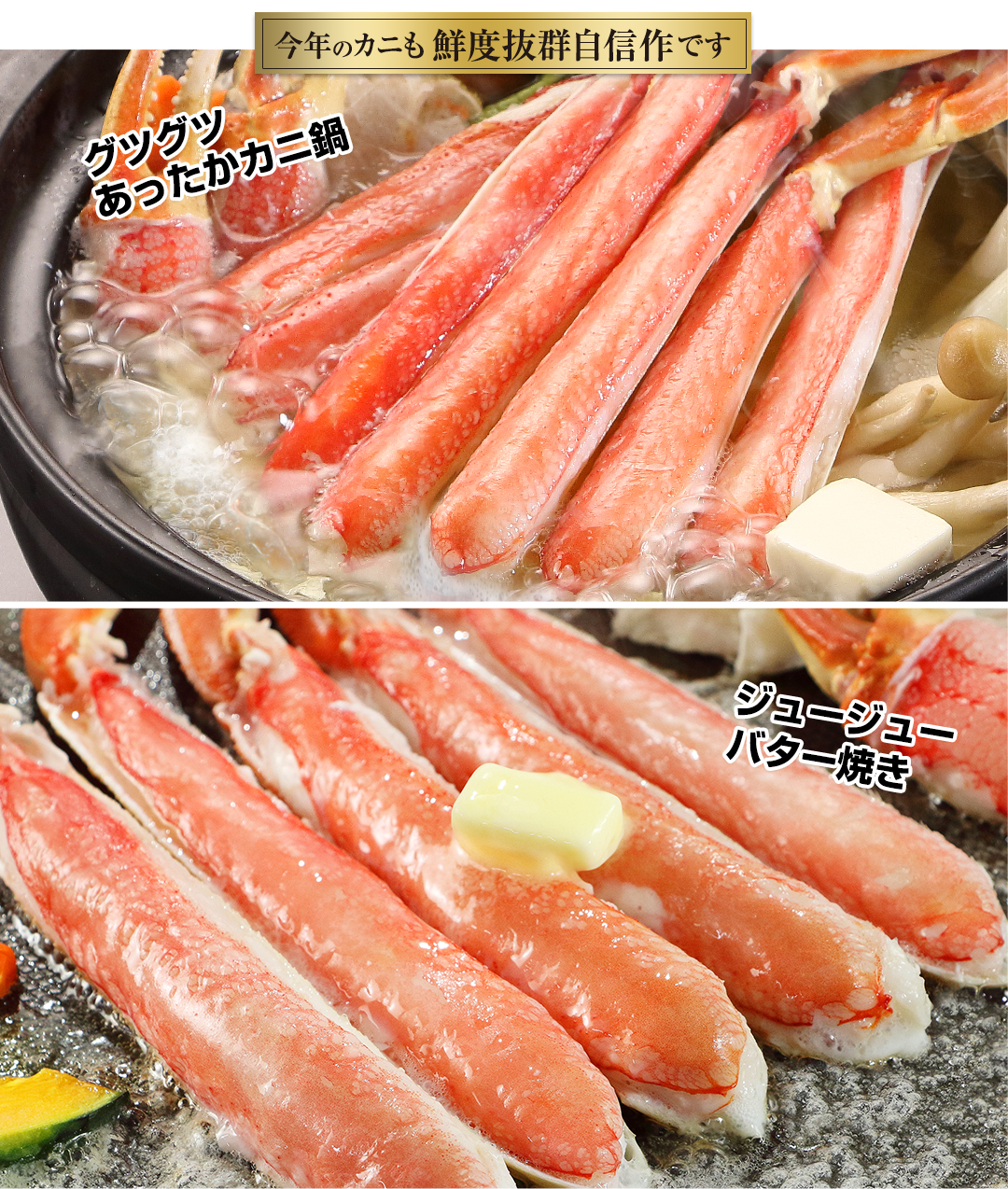 今年のかにも鮮度抜群自信作