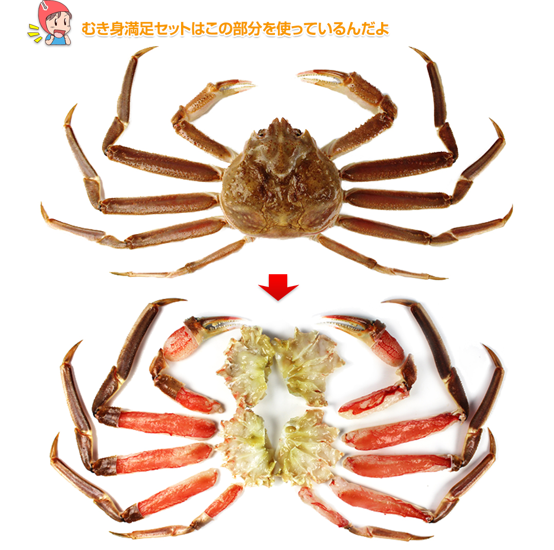350：生ずわい蟹「かにしゃぶ」むき身満足セット　2kg超（総重量約２.４kg）