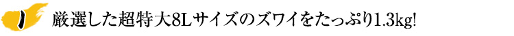 厳選した超特大９Ｌサイズのズワイをたっぷり1.3?！