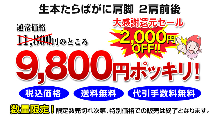 大感謝還元セール 9,800円