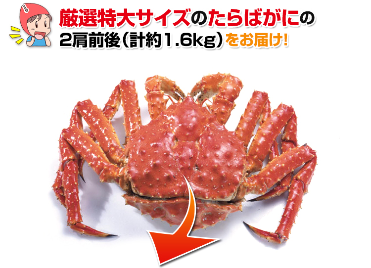 厳選特大サイズのたらばがにの2肩前後をお届け!