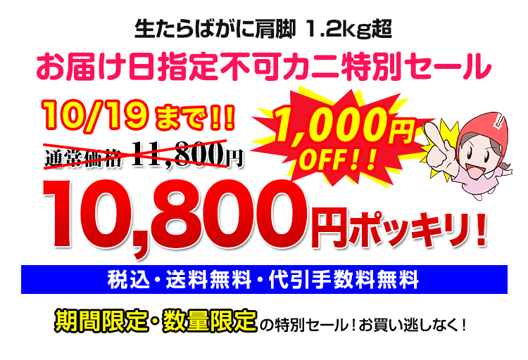 10,800円(税込)