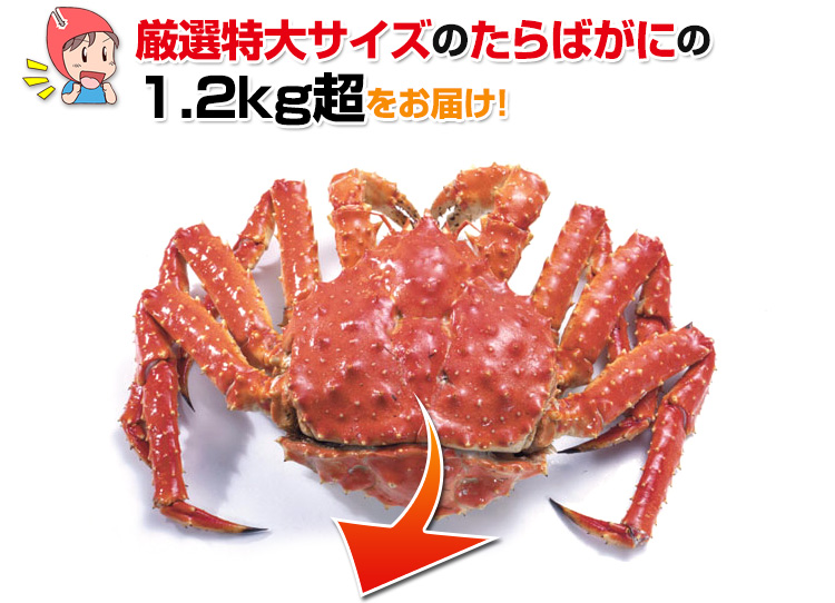 厳選特大サイズのたらばがにの2肩前後をお届け!