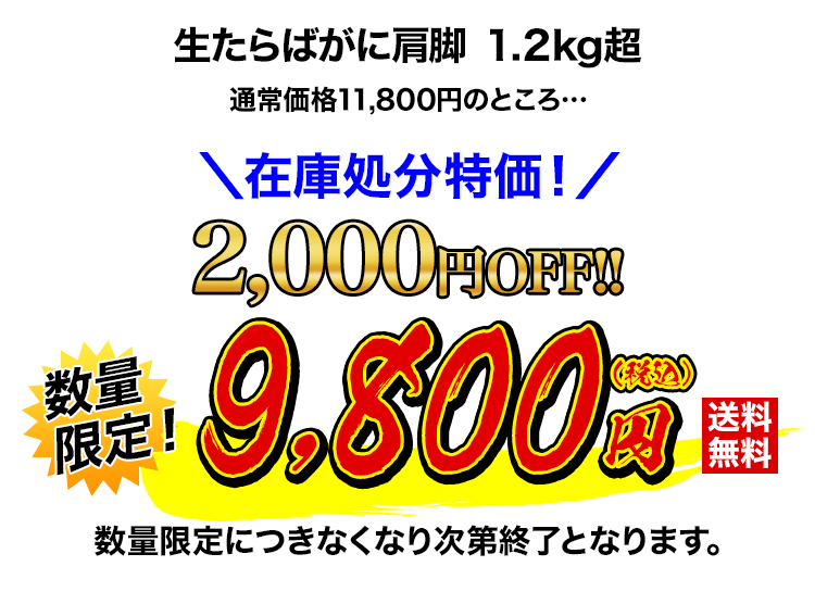 在庫処分特価 9,800円