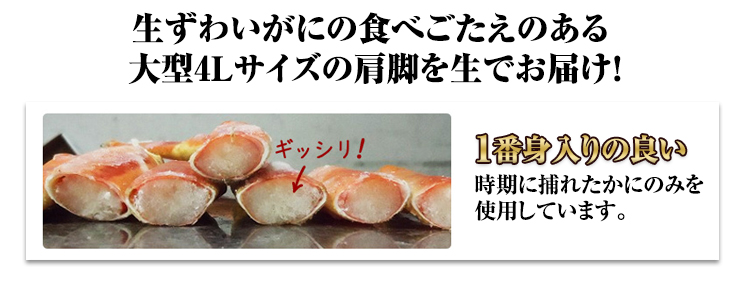 生本ずわいがにの食べごたえのある大型4Lサイズの肩脚を生でお届け！