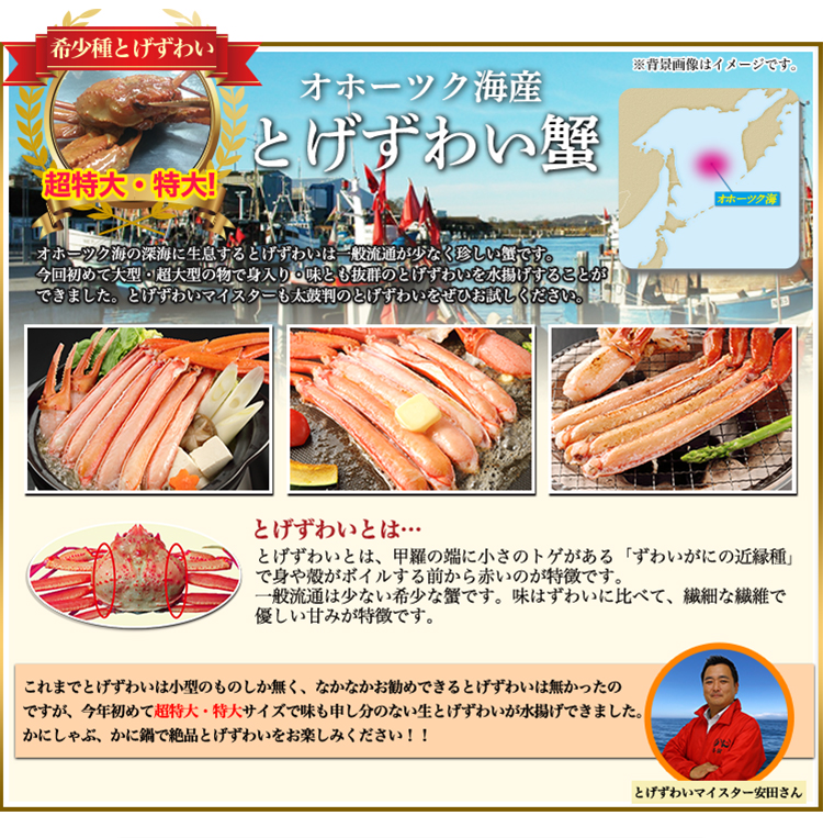 とげずわい詳細