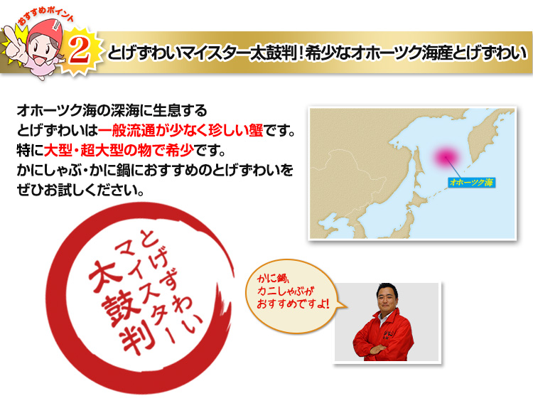 とげずわいマイスター太鼓判！希少なオホーツク海産