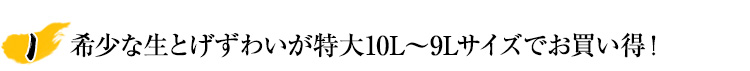 特大10L～9Lサイズのずわいをお買い得！