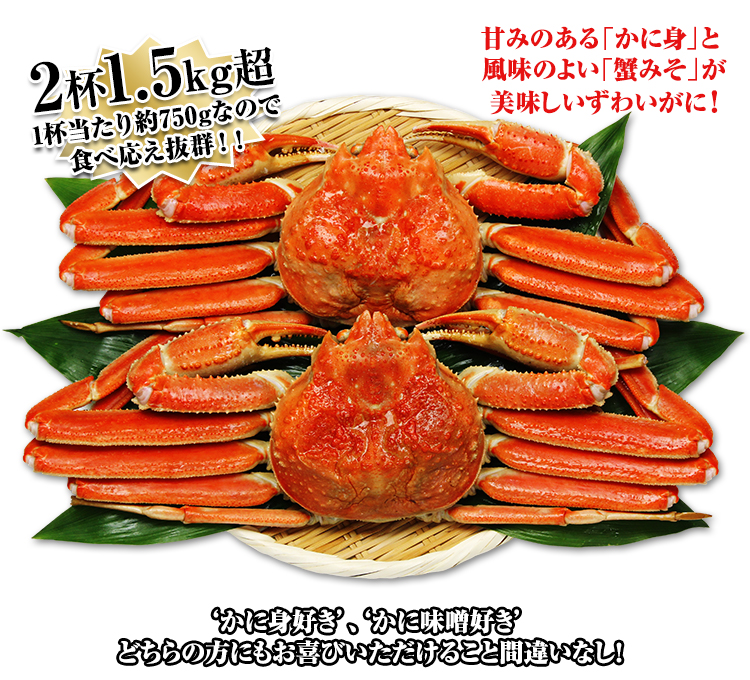 2杯約1.5kg1杯当たり約750gなので食べ応え抜群！！かに身好き、かに味噌好きどちらの方にもお喜びいただけること間違いなし！