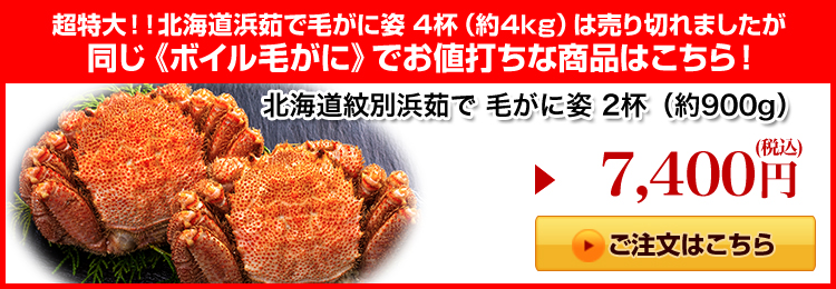 北海道紋別浜茹で 毛がに姿 2杯（約900g）