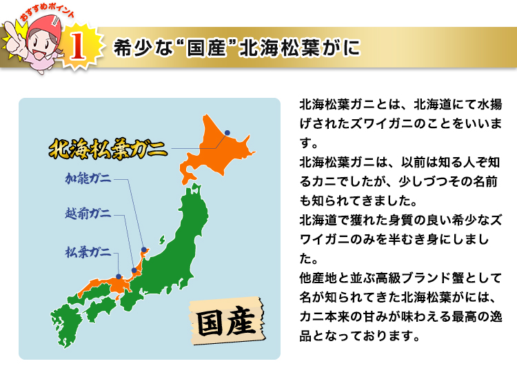 希少な“国産”北海松葉がに