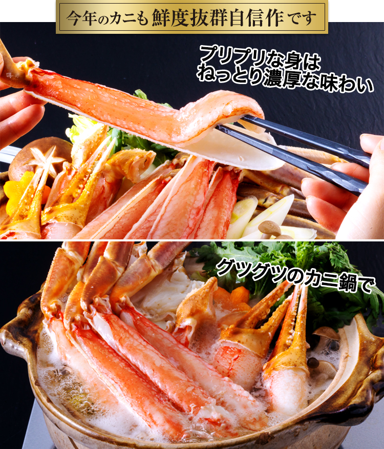 今年のかにも鮮度抜群自信作