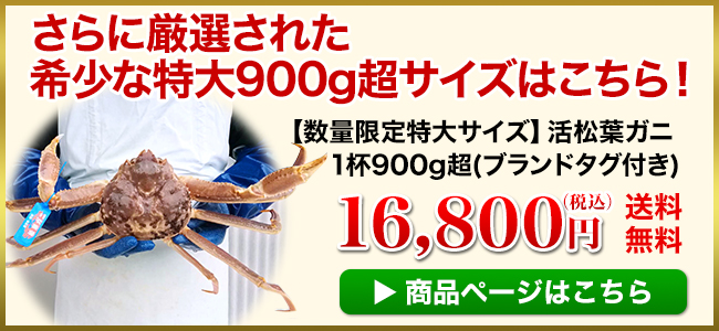 活松葉ガニ1杯900g超はこちら