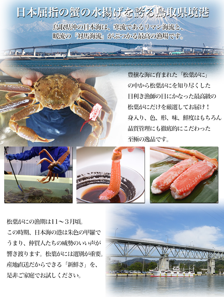 日本屈指の蟹の水揚げを誇る鳥取県境港