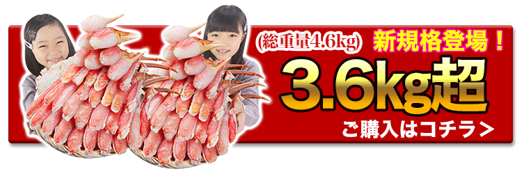 大人数におすすめ