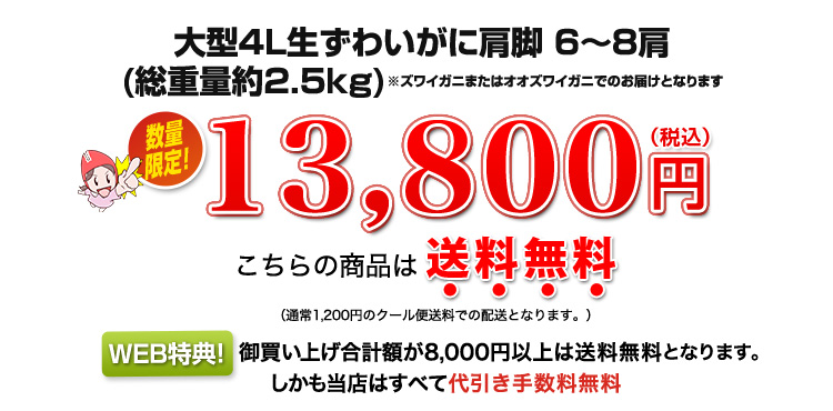 13,800円(税込)