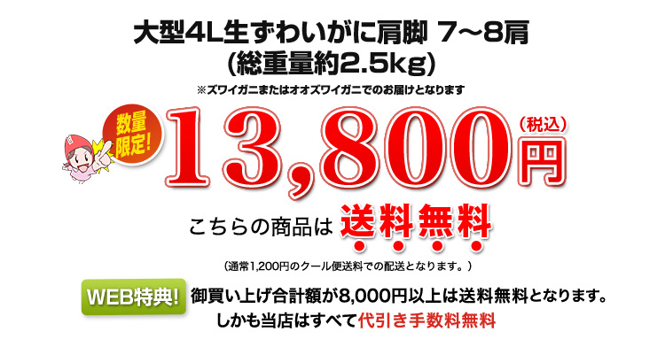13,800円(税込)