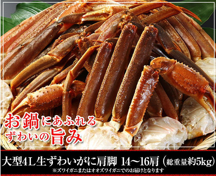 大型4L生ずわいがに肩脚 14～16肩（約5kg）