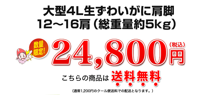 24,800円（税込）